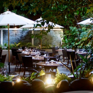 Michael's patio
