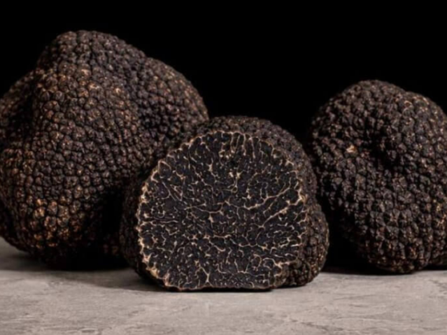 Napa Truffle Festival