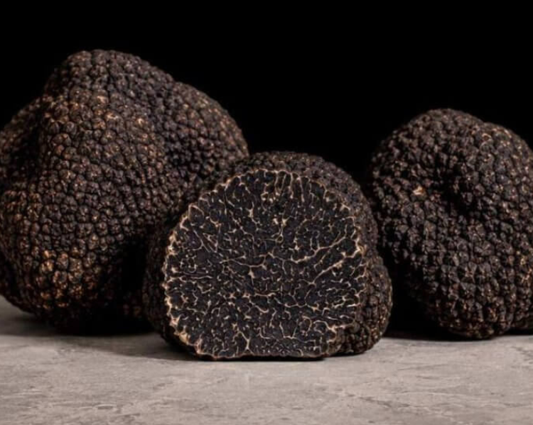 Napa Truffle Festival