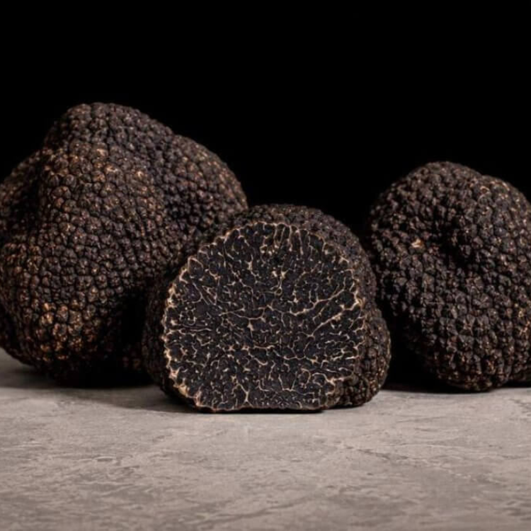 Napa Truffle Festival