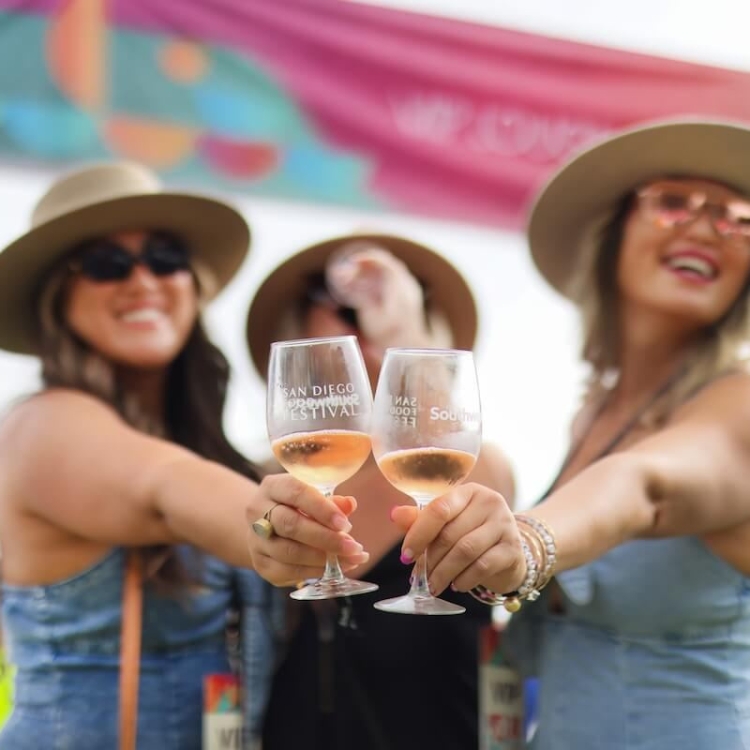 SDFW Festival