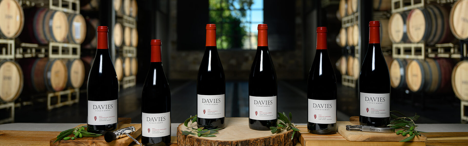 Davies Pinot Noirs in Barrel Room