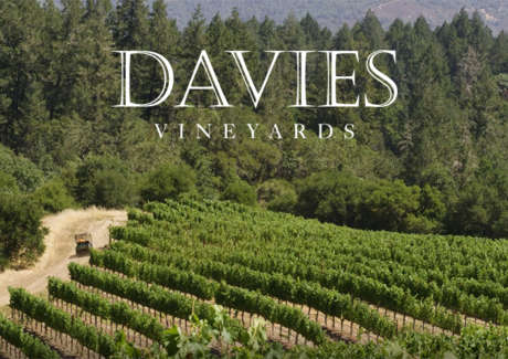 Davies Vineyards upper vineyard on Diamond Mountain