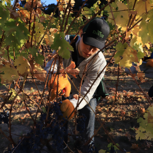 Camp Davies Fall Session