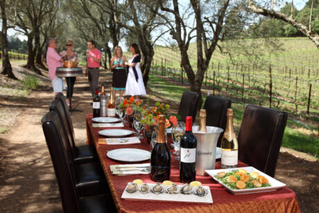 Table set with local food and wine in grape vineyard