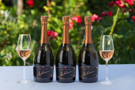 J. Schram Rosé lineup