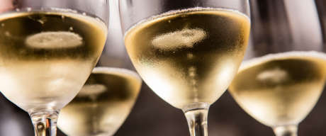 Tiny bubbles floating to the top of glasses filled with Schramsberg sparkling wine