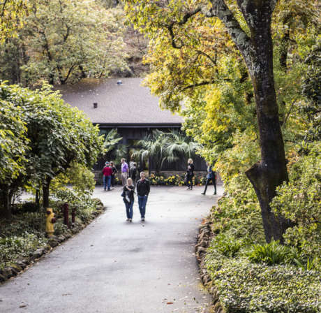Guests strolling on Schramsberg's front walk and into the visitors center entrance