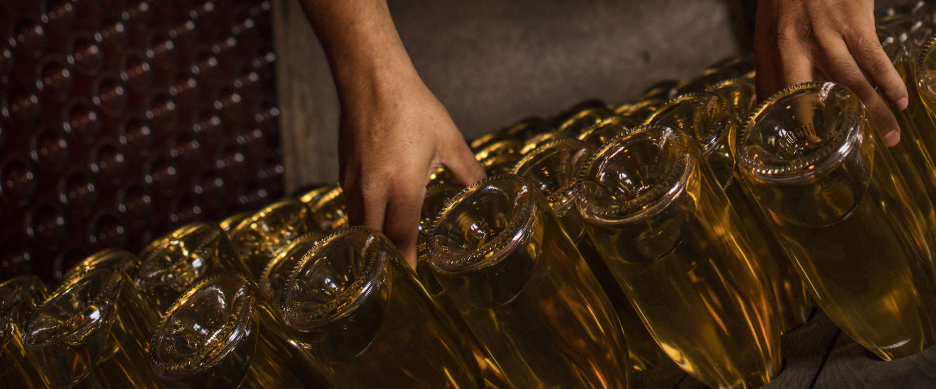 Cellar worker's hands riddling bottles in the wine caves
